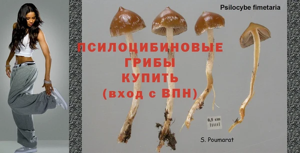 круглые Вязники