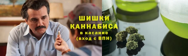 мескалин Сясьстрой