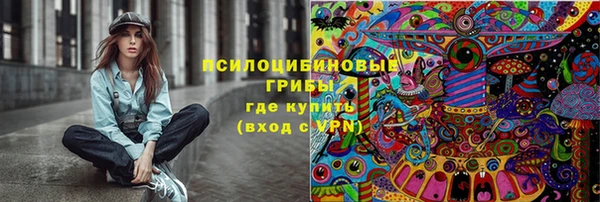метадон Вяземский