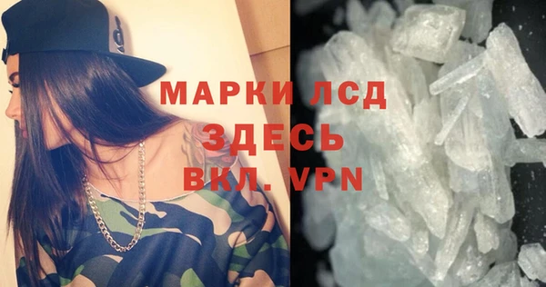 гашик Тавда