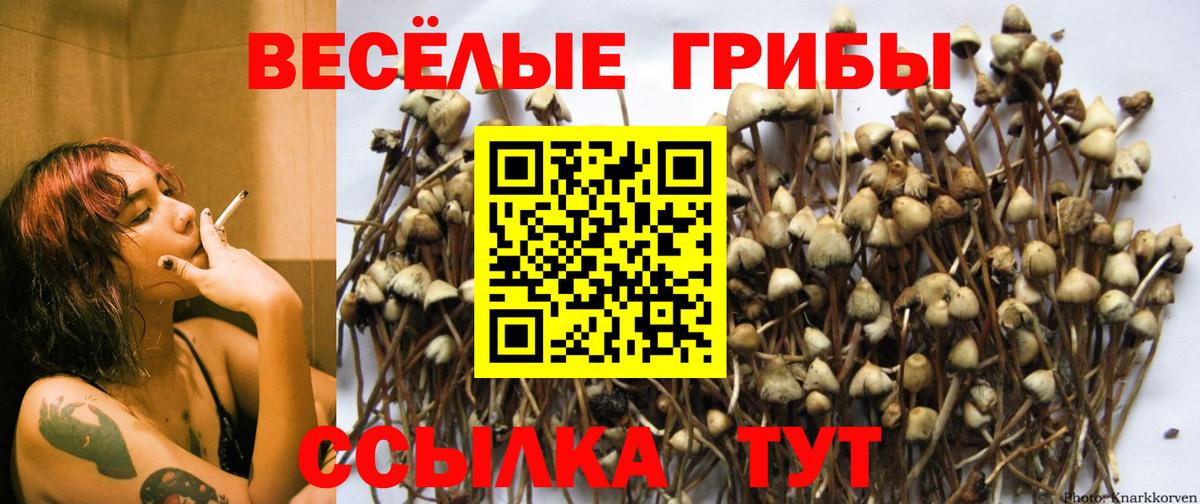 Снежинск  Галлюциногенные грибы GOLDEN TEACHER  Галлюциногенные грибы Magic Shrooms  Вход с VPN 